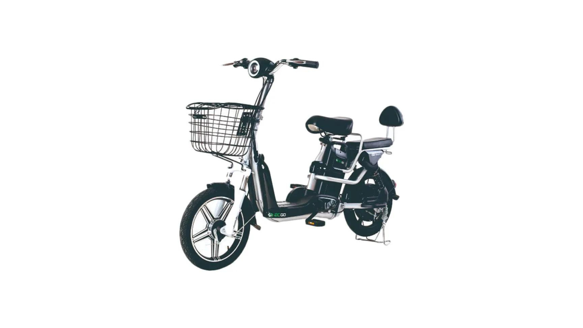 ECGO 1