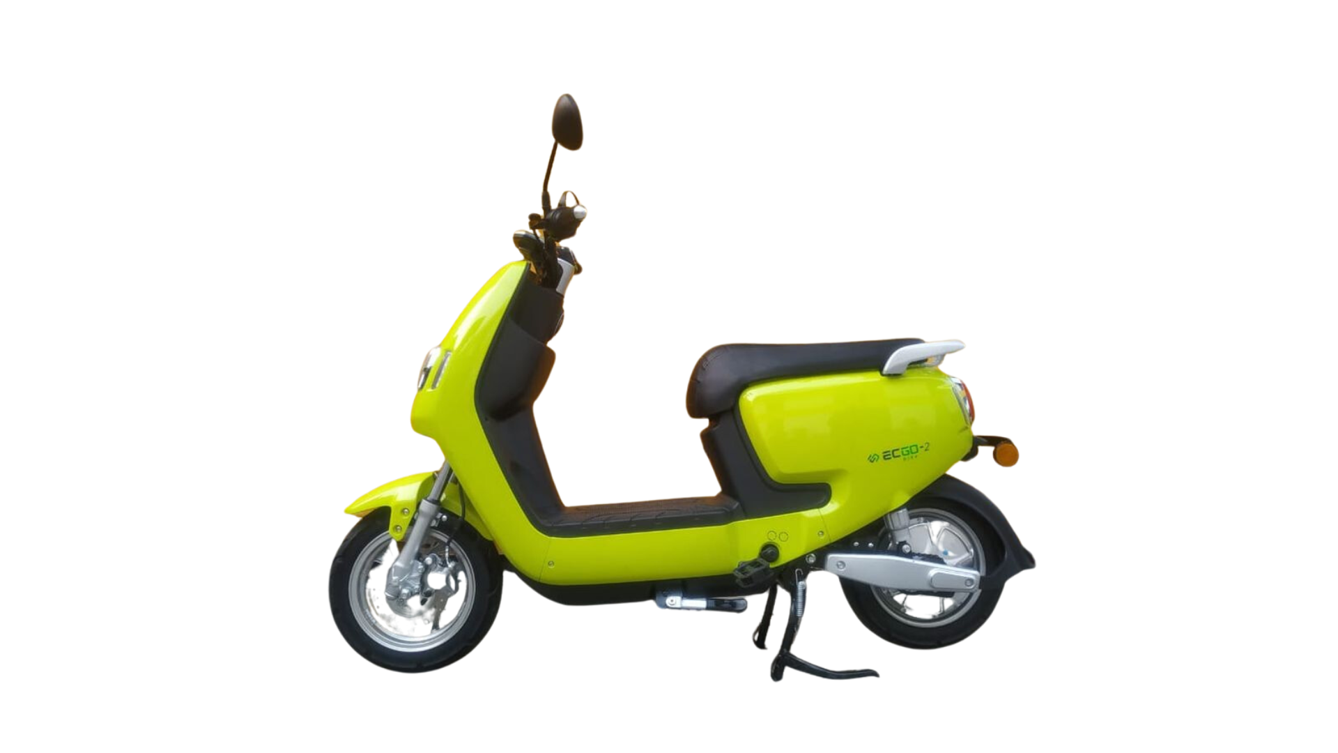 ECGO 2